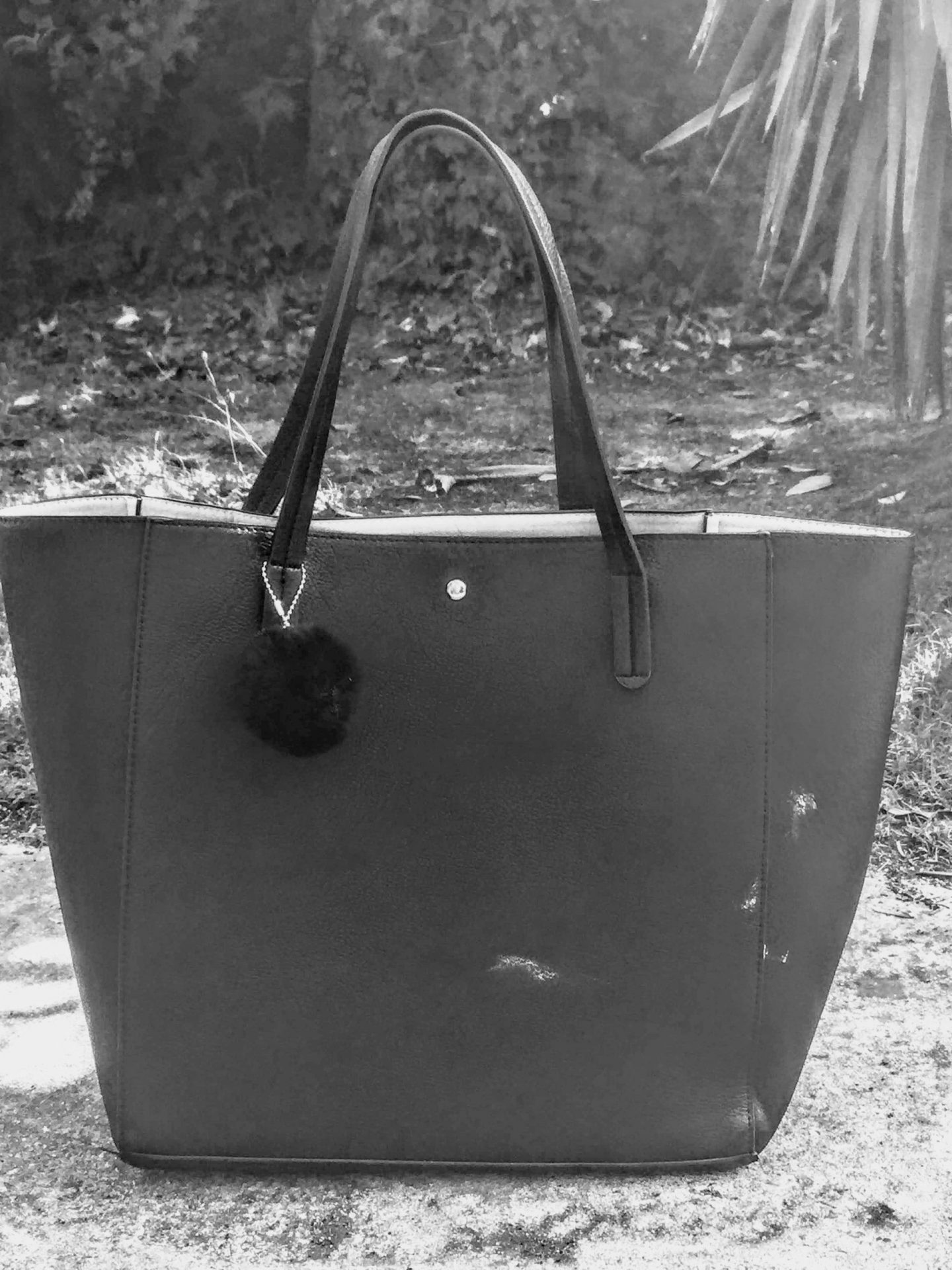 ¿Qué hay en mi cartera?